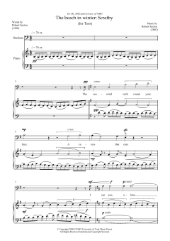 The beach in winter: Scratby (Download) 