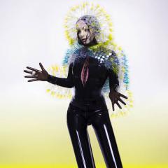 Notget von Björk (Download) 