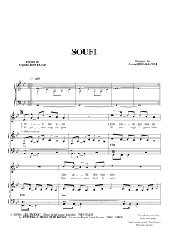 Soufi von Brigitte Fontaine (Download) 
