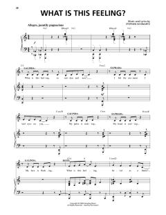 What Is This Feeling? von Stephen Schwartz (Download) 