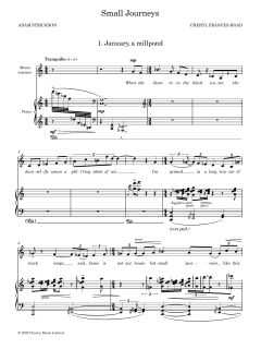 Small Journeys (Download) 