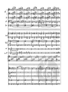 Don Quixote: Pas De Deux von Ludwig Minkus 