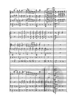 Don Quixote: Pas De Deux von Ludwig Minkus 