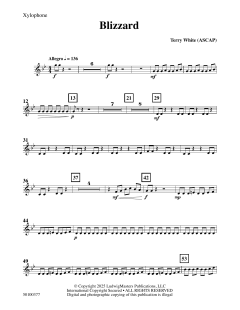 Blizzard von Terry White (Download) 