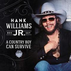 There's A Tear In My Beer von Hank Williams (Download) 