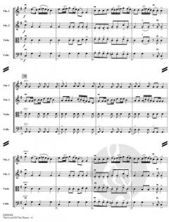 The Lord of the Dance von Ronan Padraig Hardiman (Download) 