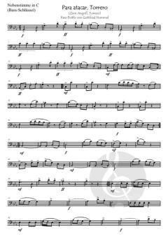 Para atacar, Torrero (Zum Angriff, Torrero) von Gottfried Hummel 