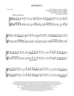 SeÃ±orita von Shawn Mendes (Download) 