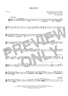 Believe von Cher (Download) 