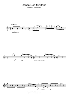 Danse Des Mirlitons von Peter Iljitsch Tschaikowsky (Download) 