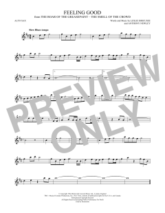Feeling Good von Nina Simone (Download) 