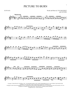Picture To Burn von Taylor Swift (Download) 