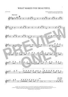 What Makes You Beautiful von One Direction (Download) 