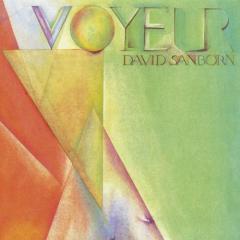 Let's Just Say Goodbye von David Sanborn (Download) 