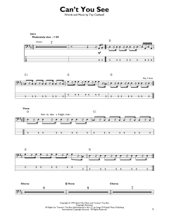 Can't You See von Marshall Tucker Band (Download) 