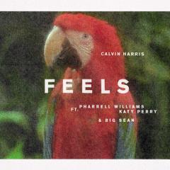 Feels von Calvin Harris (Download) 