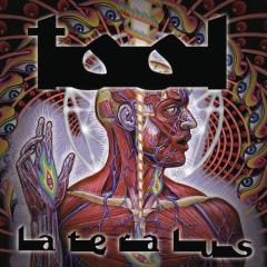 Schism von Tool (Download) 