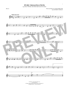 Pure Imagination (Download) 