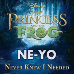 Never Knew I Needed (Download) 