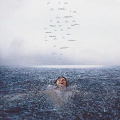 Wonder (Download) 