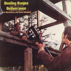 Duelin' Banjos von Earl Scruggs (Download) 