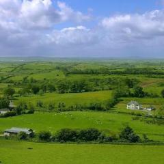 The Fields Of Athenry von Pete St. John (Download) 