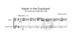 !TooT TooT! Flexible Woodwind Duets von Graham Lyons 