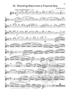 Compositions for Flute Vol. 2 von Graham Lyons 