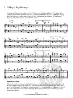 Balkan Music from the Danube von Gundula Stojanova Gruen 