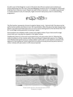 Balkan Music from the Danube von Gundula Stojanova Gruen 