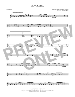 Blackbird von Wings (Download) 