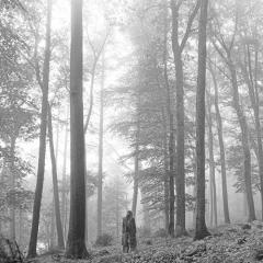 cardigan von Taylor Swift (Download) 