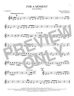 For A Moment von Neil Hannon (Download) 