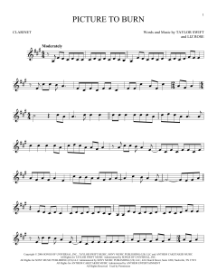 Picture To Burn von Taylor Swift (Download) 