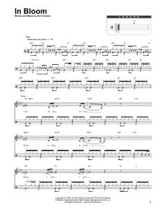 In Bloom von Nirvana (Download) 
