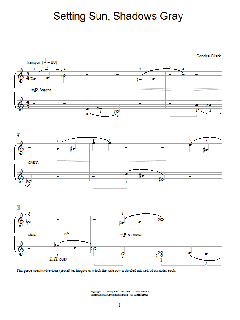 Setting Sun, Shadows Gray von Sondra Clark (Download) 