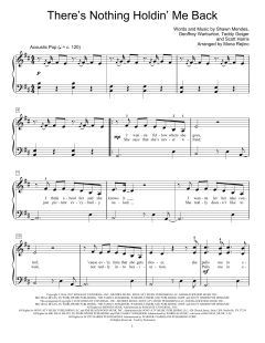 There's Nothing Holdin' Me Back von Shawn Mendes (Download) 