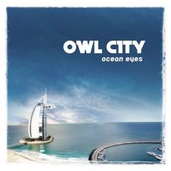 Fireflies von Owl City (Download) 
