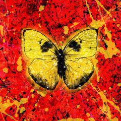 Shivers von Ed Sheeran (Download) 