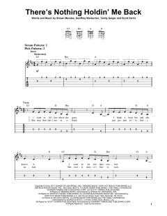 There's Nothing Holdin' Me Back von Shawn Mendes (Download) 