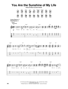 You Are The Sunshine Of My Life von Stevie Wonder (Download) 