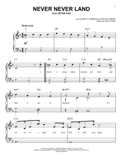 Never Never Land von Betty Comden (Download) 