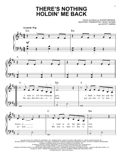 There's Nothing Holdin' Me Back von Shawn Mendes (Download) 