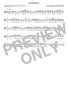 A Blossom Fell von Diana Krall (Download) 