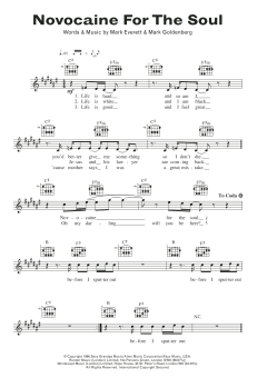 Novocaine For The Soul von Eels (Download) 