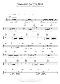 Novocaine For The Soul von Eels (Download) 