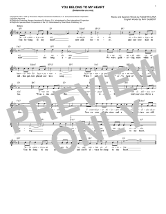 You Belong To My Heart von Ray Gilbert (Download) 