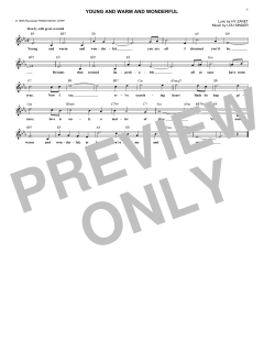 Young And Warm And Wonderful von Lou Singer (Download) 