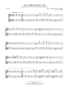 Any Dream Will Do von Andrew Lloyd Webber (Download) 
