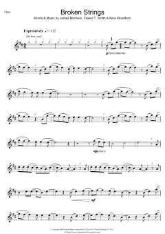 Broken Strings von James Morrison (Download) 